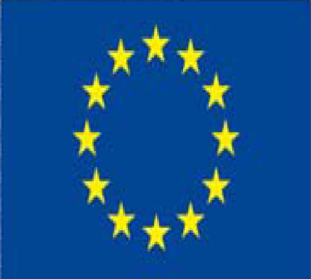 Convocatoria Expertos para el proyecto «Horizon 2020» de la Comisión Europea