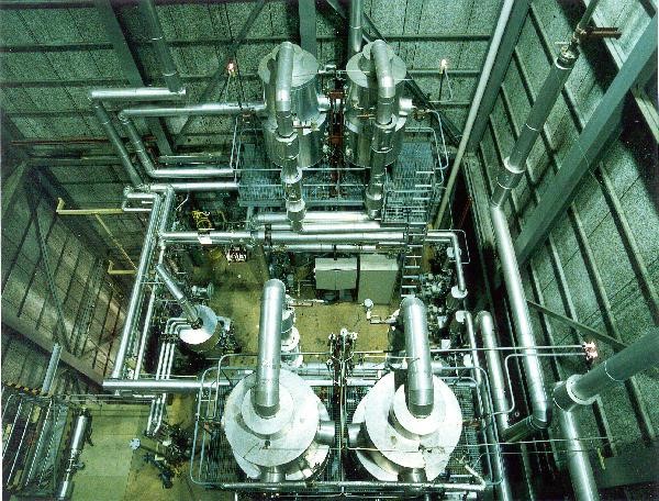 Programas Internacionales Asociados