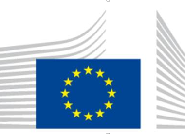 Euratom celebra su Jornada Informativa y un Taller sobre inteligencia artificial y robótica en el sector nuclear.